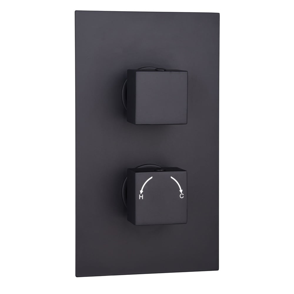 Astini Orca Black Square Concealed Thermostatic 2 Handle 2 Outlet Shower Valve