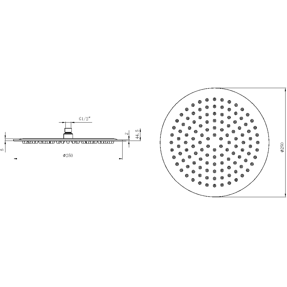 Astini Brushed Brass 250 Round Overhead Shower