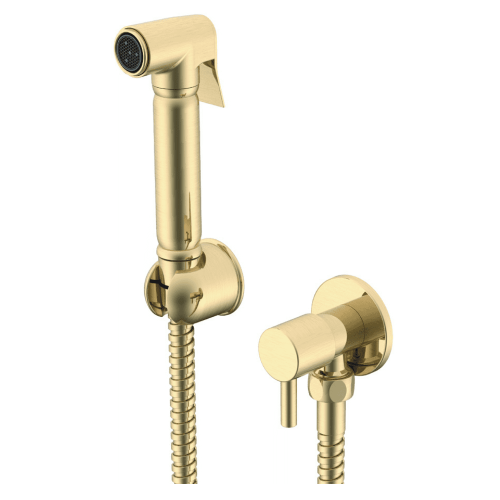 Astini Brushed Brass Round Diverter Douche Kit