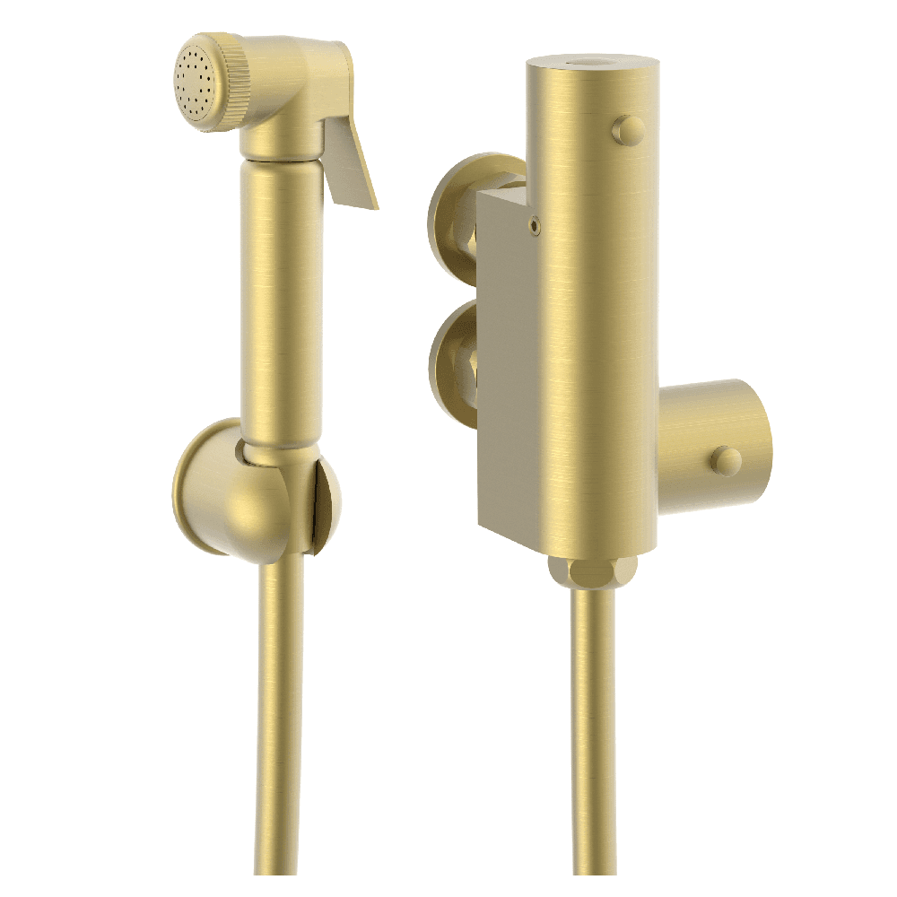 Astini Brushed Brass Round Thermostatic Douche Kit