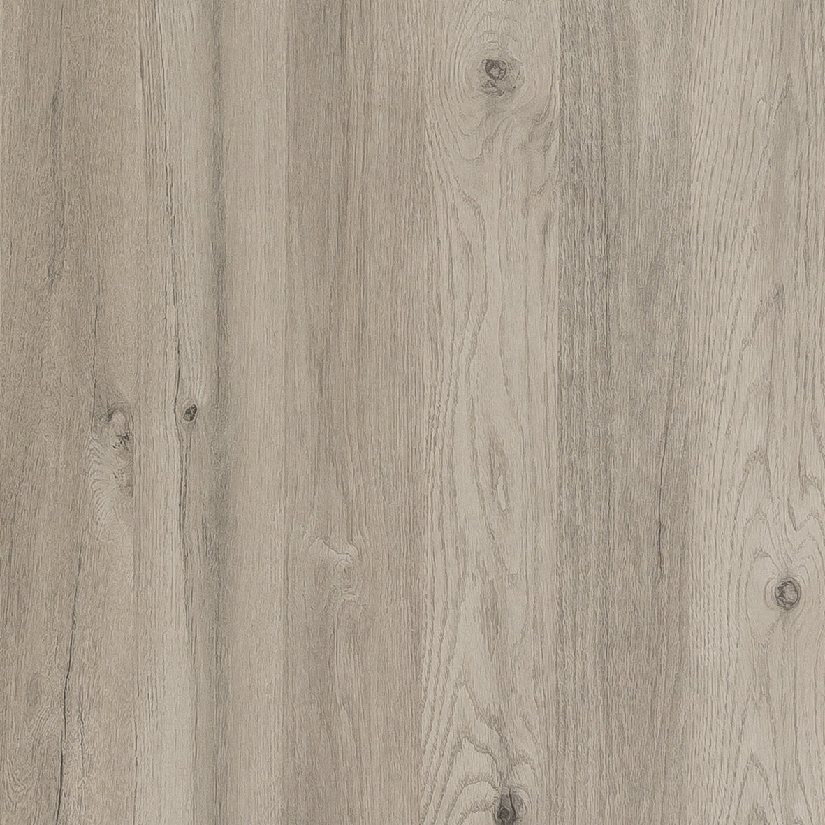 Bushboard Options Gardenia (Matt Finish) - Free Sample
