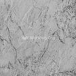 Silverback Marble - Gloss Texture