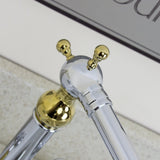 Astini Traditional Gold & Chrome Twin Handle Kitchen Sink Tap 25441GC