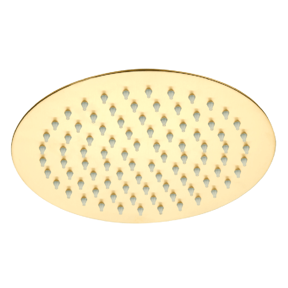 Astini Brushed Brass 250 Round Overhead Shower