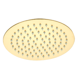 Astini Brushed Brass 250 Round Overhead Shower