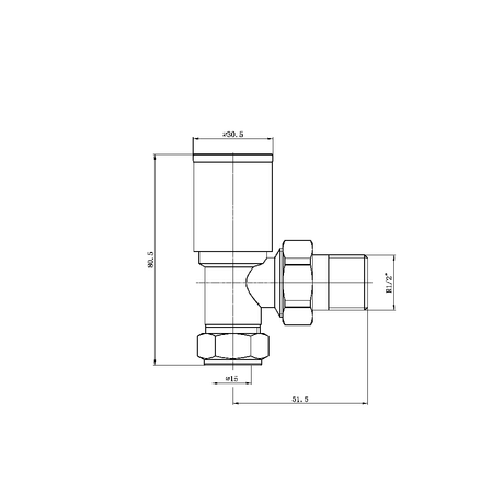 Astini Brushed Brass Round Angled Radiator Valves
