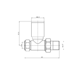 Astini Brushed Brass Round Straight Radiator Valves