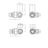 Astini Brushed Brass Corner Radiator Valves