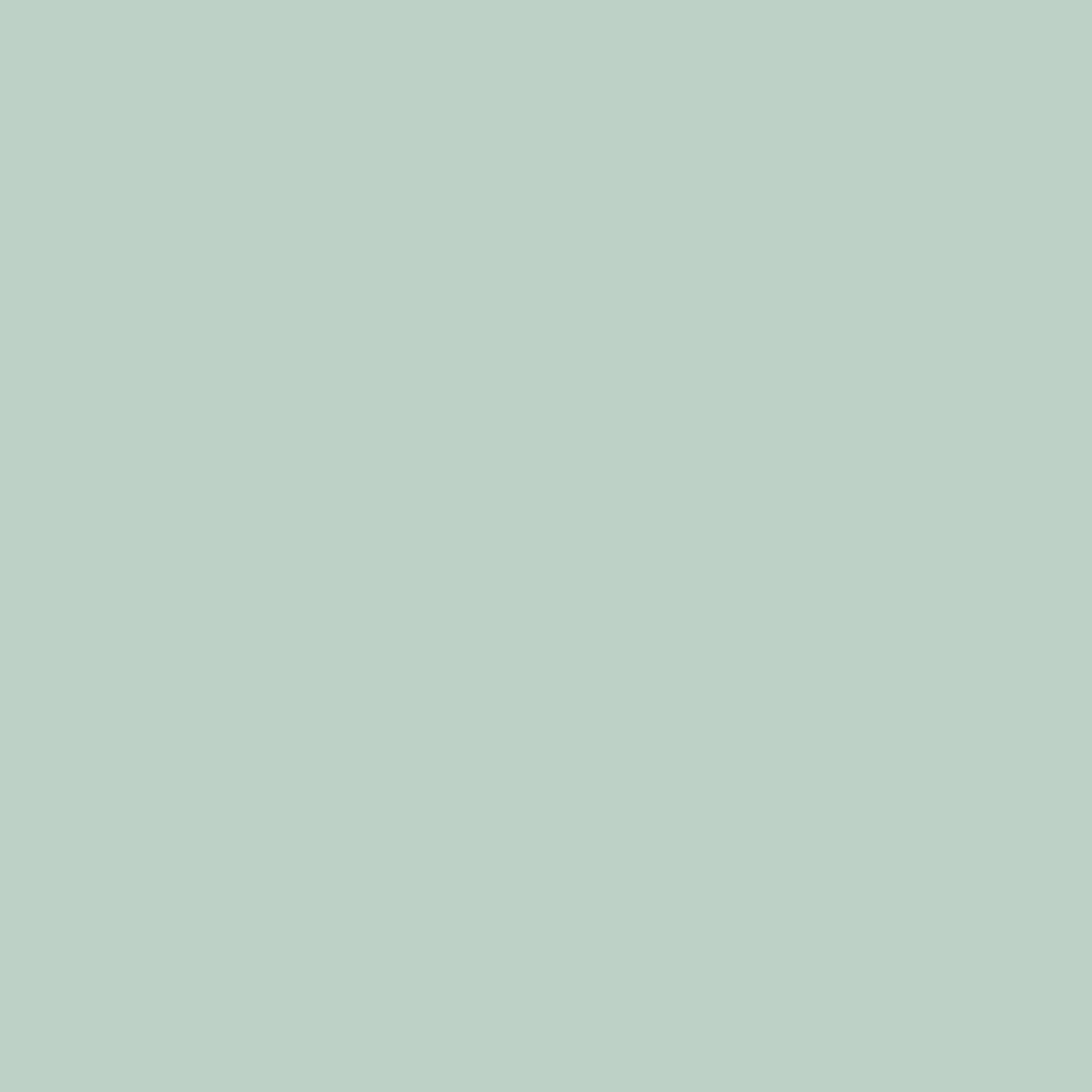 Bushboard Alloy Seabreeze Green Aluminium Feature Kitchen Splashback