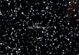 Bushboard Options Strass Noir (High Gloss Finish)-free-sample