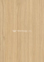 Egger H3157 ST12 Vicenza Oak Postformed Edge-free-sample