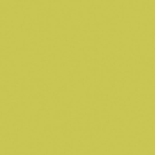 Formica Prima FP5341 Wasabi FEATURE SPLASHBACK - Gloss Finish