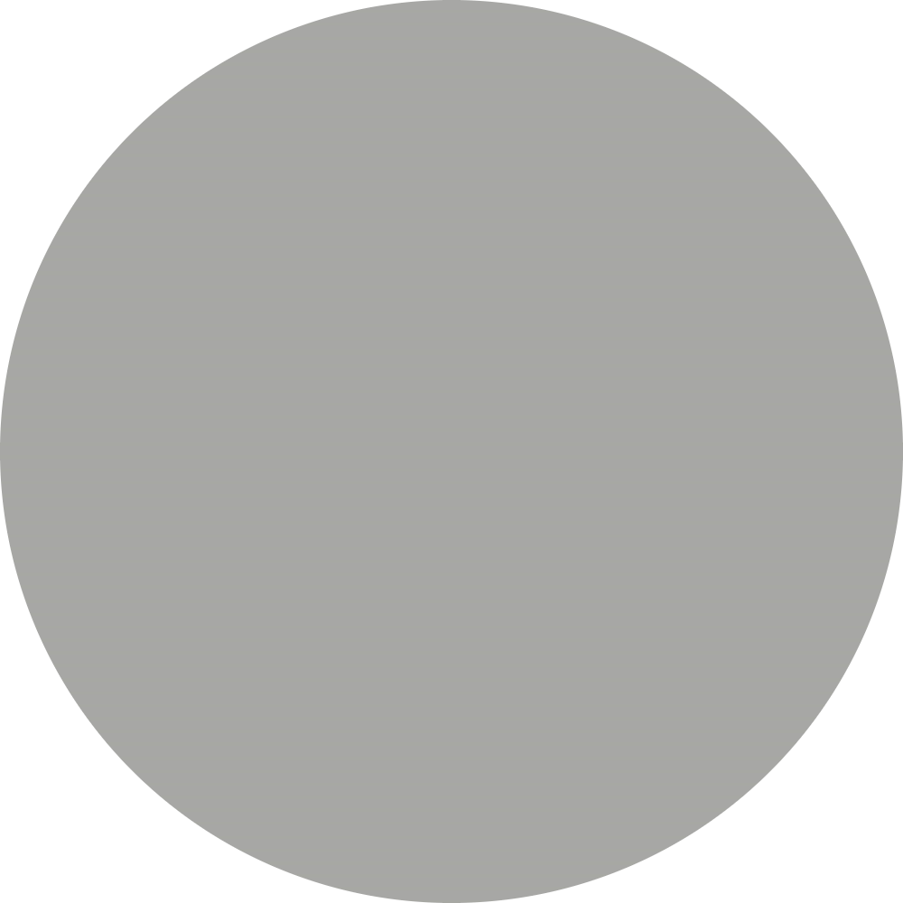 KwikCaps Self Adhesive Screw Cover Caps - Silver Grey (301)