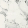 Spectra Carrera Marble - Matt Texture-free-sample