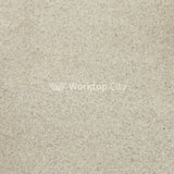 Spectra Sand Spark - Quartz Finish Free Sample